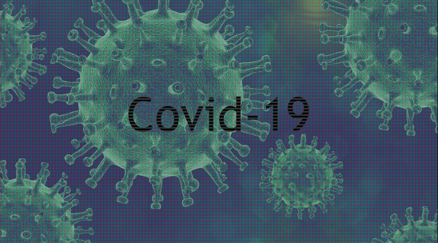  covid-19     