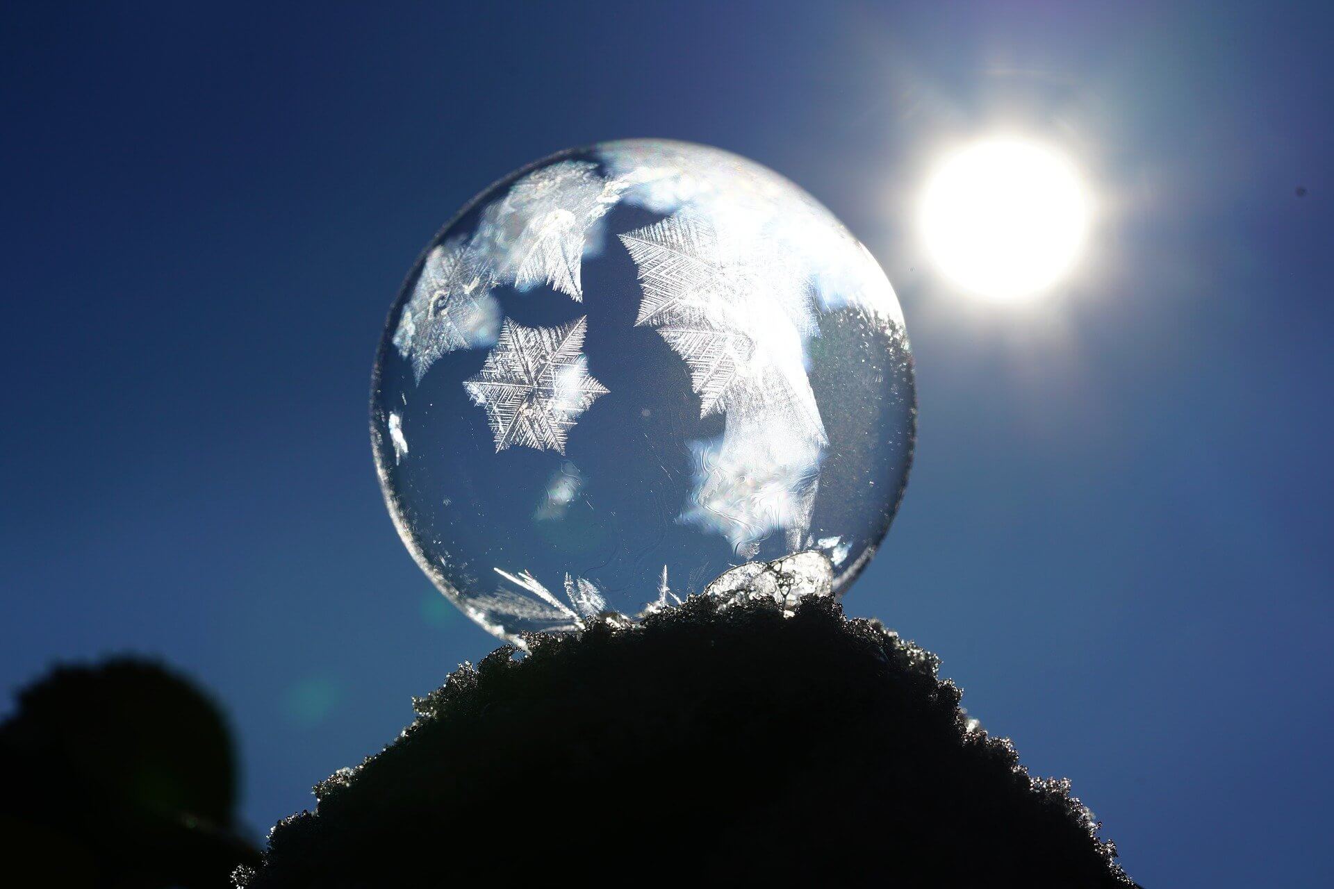фото: pixabay