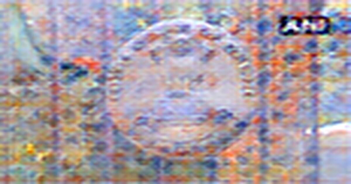 https://rusplt.ru https://rusplt.ru