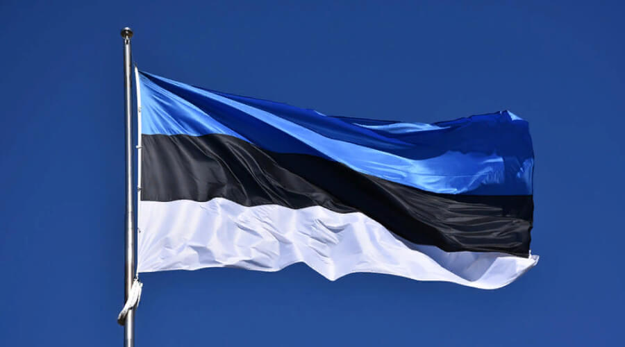 Власти Эстонии разрабатывают законопроект против россиян
