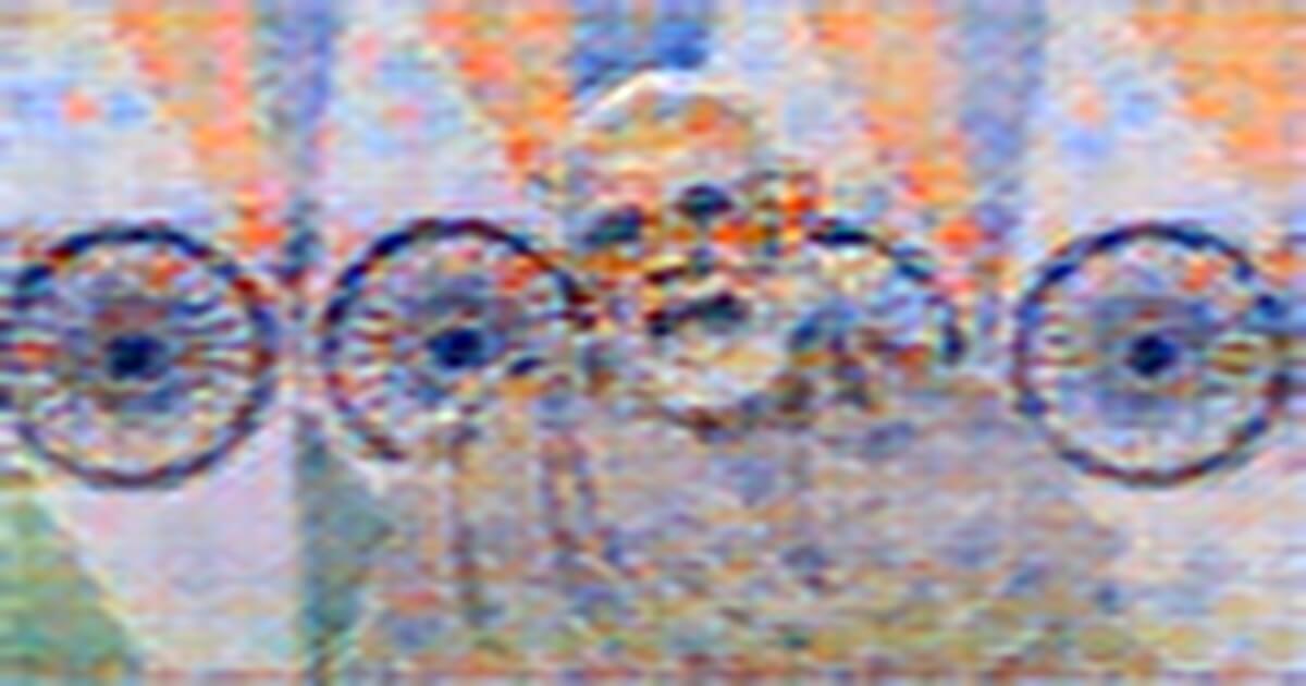 https://rusplt.ru https://rusplt.ru