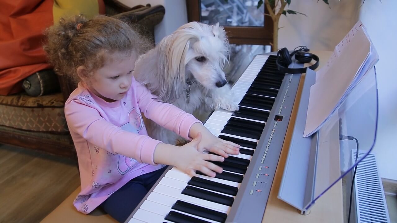Лиза Кутняя Лиза Кутняя