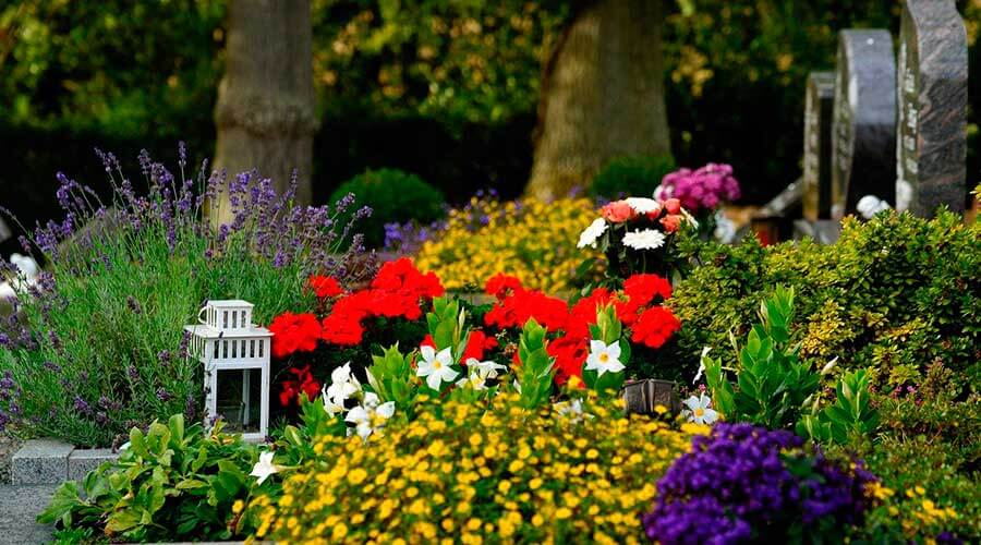 Фото: pixabay.com