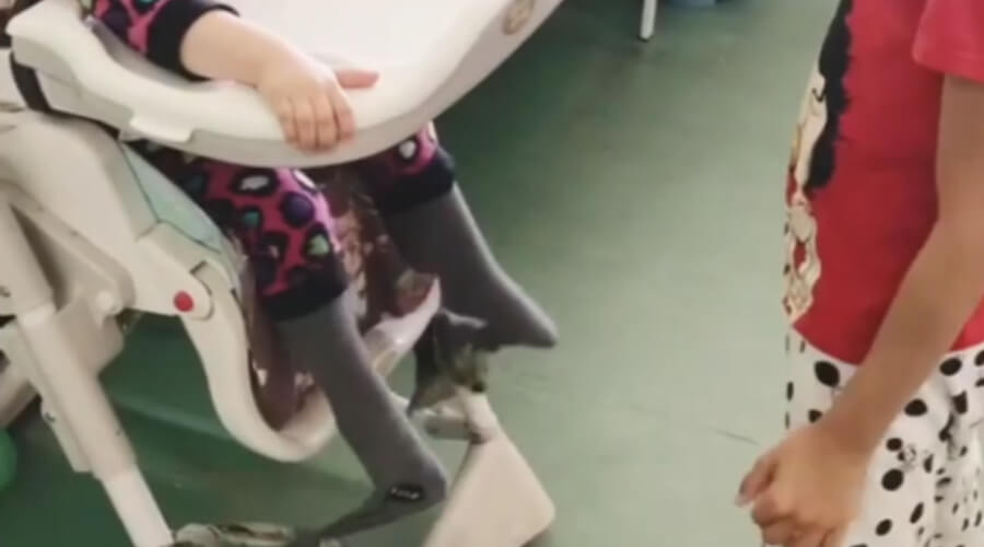 СК завел дело из-за видео с привязанным в больнице к стулу ребенком