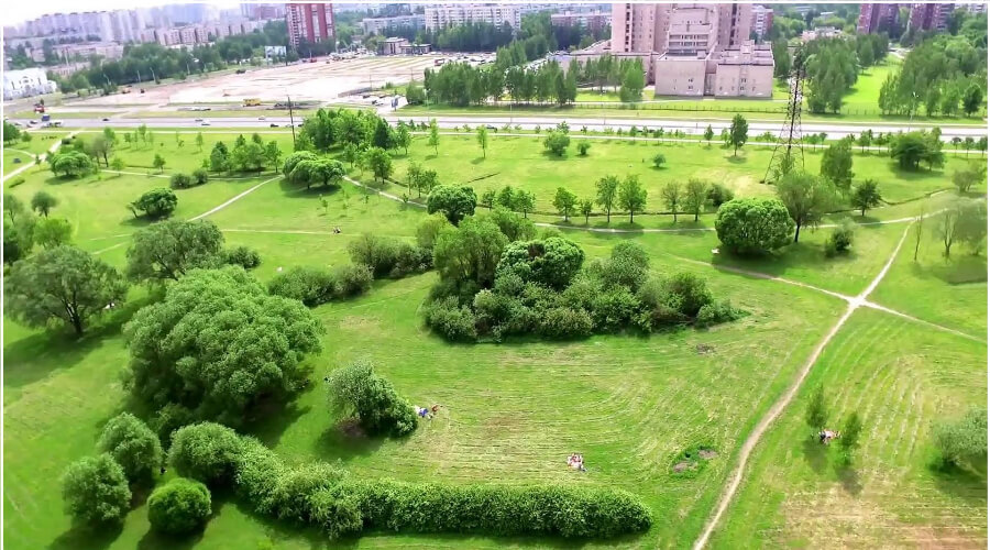 Спортивной арены не будет: суд Петербурга не вычеркнул Муринский парк из перечня зеленых насаждений