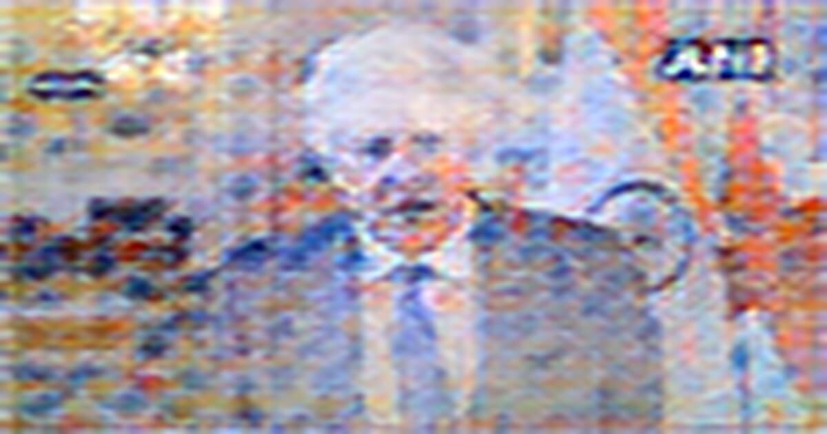 https://rusplt.ru