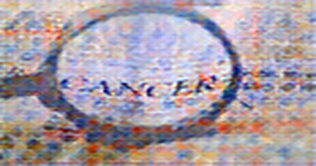 https://rusplt.ru