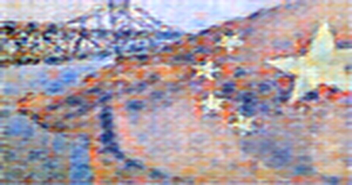 https://rusplt.ru https://rusplt.ru