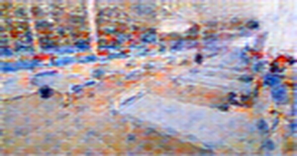 https://rusplt.ru