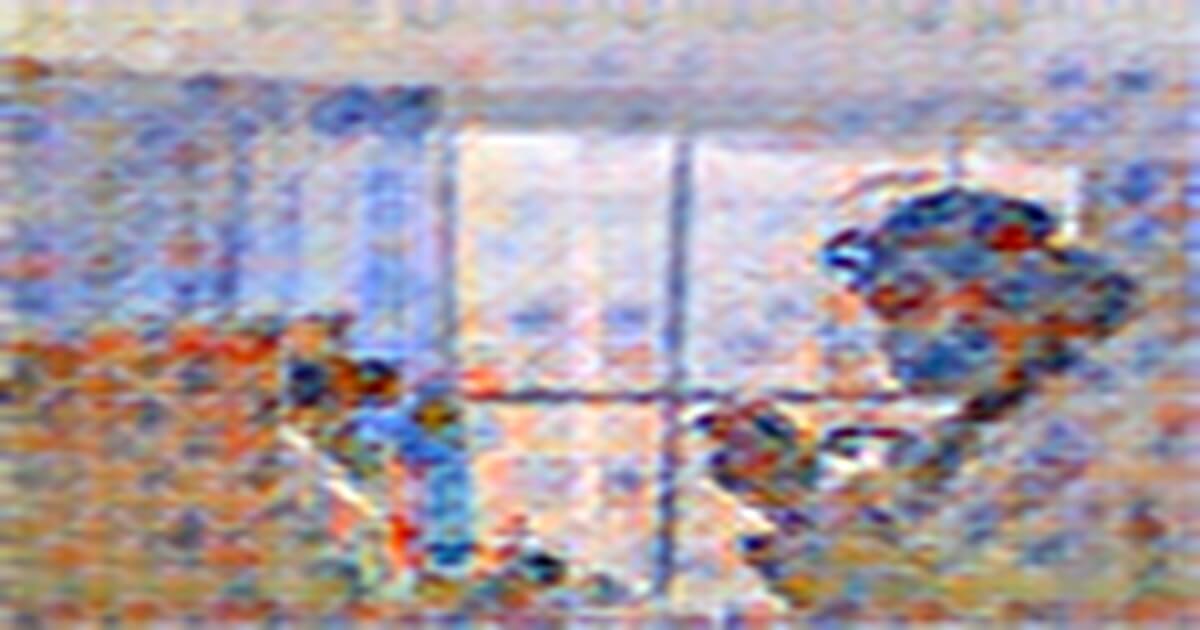 https://rusplt.ru https://rusplt.ru