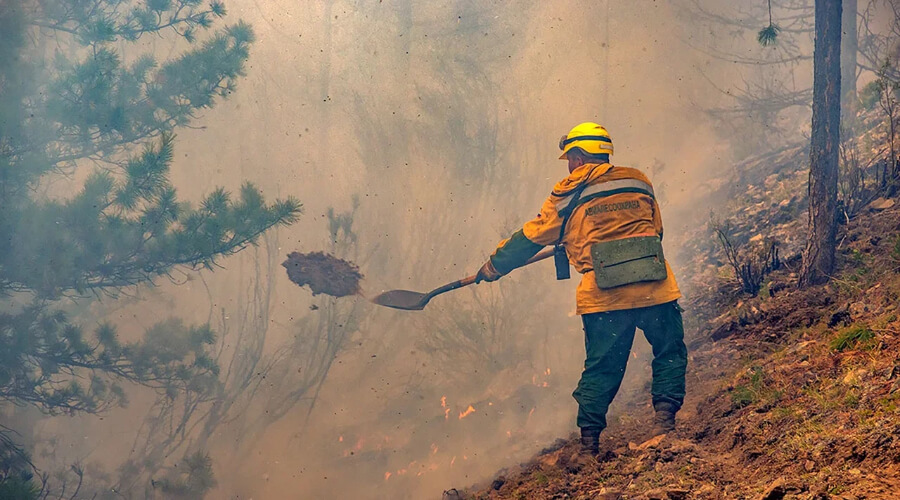 Лесные службы потушили более 700 лесных пожаров в России