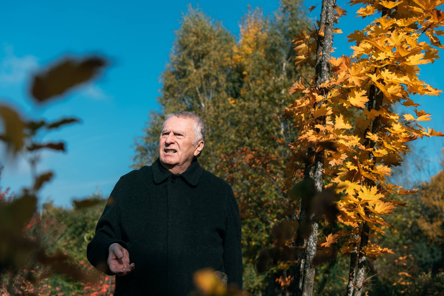 Владимир Жириновский