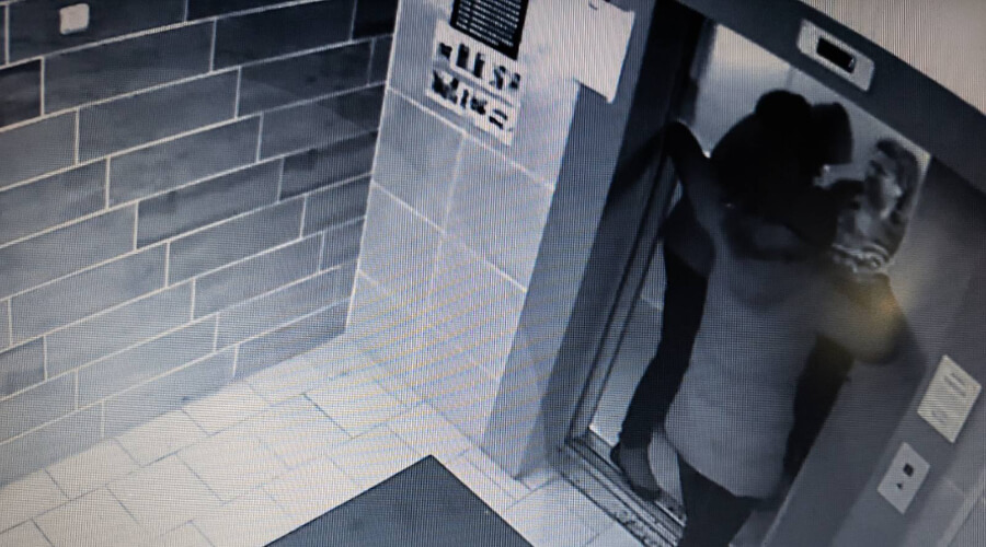 Камеры напротив квартиры Заремы Мусаевой и у лифта сняли момент похищения чеченскими силовиками