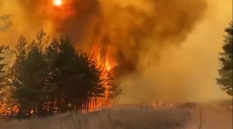 Пожарным удалось ликвидировать крупный пожар под Воронежем